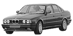 BMW E34 B256D Fault Code